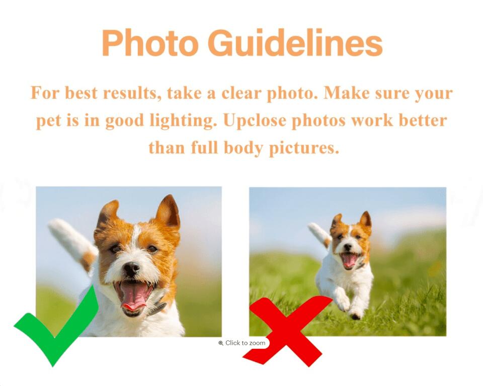 Custom Dog Mug, Personalized Dog Coffee Mug, Dog Picture Mug, Dog Face Mug, Pet Photo on Cup