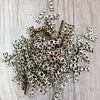 HOPE wooden cutouts - Refill your Jar of Hopes! 140 per pack