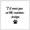 Pet Loss Sympathy Memorial Gift - I‘ll Meet You At The Rainbow Bridge Bracelet Pet Remembrance Gift For Loss Of Pet Dog Cats